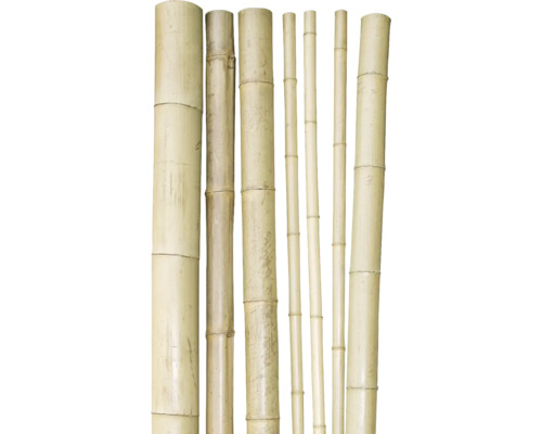 Různé bambusové tyče různé tloušťky