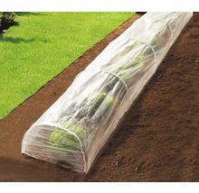 Fóliovník nad rostlinami na zahradě