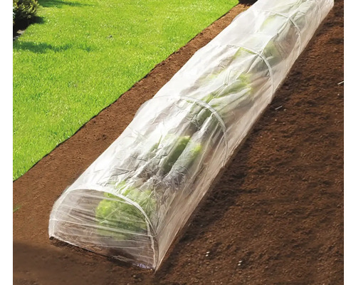 Fóliovník nad rostlinami na zahradě
