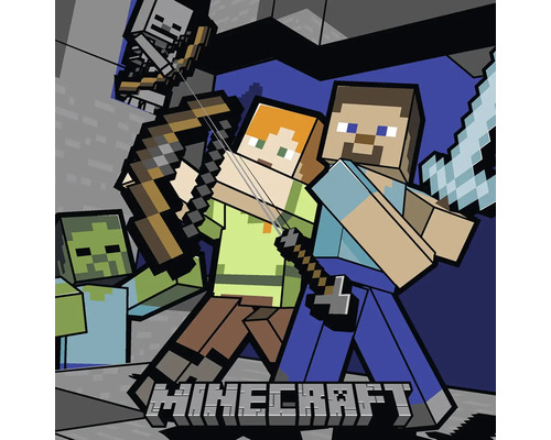 Polštářek Minecraft 40x40 cm