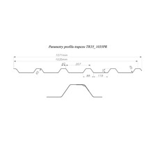 Parametry trapézového profilu TR35_1035PR