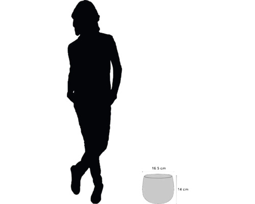 Rozměry květináče: průměr 16,5 cm, výška 14 cm