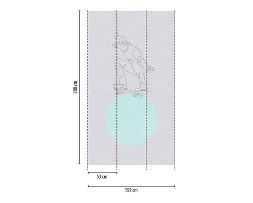 Foto tapeta s motivem skateboardisty, 280 x 159 cm