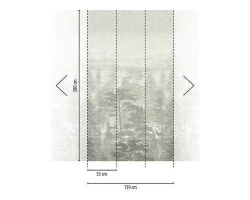 Fototapeta s motivem lesa, rozměry 280 krát 159 centimetrů