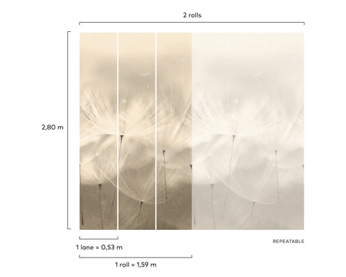 Tapeta s motivem pampelišky, dvě role, opakovatelný vzor, výška 2,80 metru, jeden pruh je 0,53 metru široký, jedna role je 1,59 metru široká