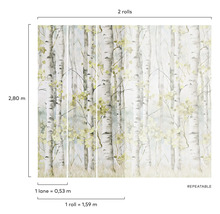 Tapeta se vzorem březového lesa pro dekoraci stěn