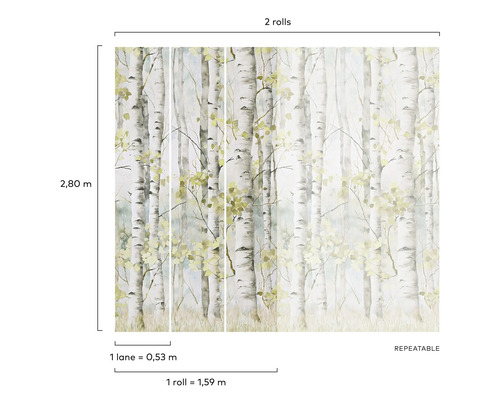 Tapeta se vzorem březového lesa pro dekoraci stěn