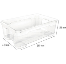 Průhledný úložný box o rozměrech 565 mm délka, 378 mm šířka a 159 mm výška.
