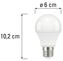 Obrázek žárovky o rozměrech 10,2 centimetrů na výšku a 6 centimetrů v průměru.
