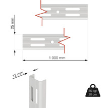 Rozměry regálové lišty: 25 mm x 1000 mm, tloušťka materiálu 12 mm, symbol nosnosti 55 kg na 20 cm