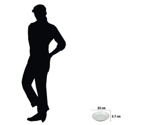 Talíř o rozměrech 22 cm v průměru a 3,7 cm na výšku