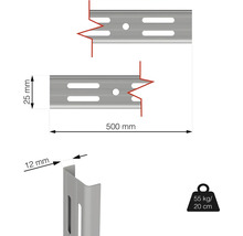 Obrázek lišty regálu o rozměrech 500 mm délka, 25 mm šířka, 12 mm hloubka a nosnost 55 kilogramů při vyložení 20 centimetrů
