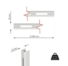 Rozměrové zobrazení profilové lišty o rozměrech 2000 mm délka, 18 mm výška a 12 mm šířka a symbol nosnosti 55 kg a 20 cm
