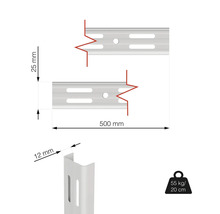 Technický nákres lišty pro police o rozměrech 500 mm délka a 25 mm šířka, nosnost 55 kg při vyložení 20 cm