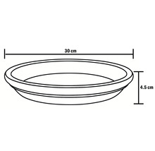 Technický výkres misky s rozměry 30 cm šířky a 4,5 cm výšky.
