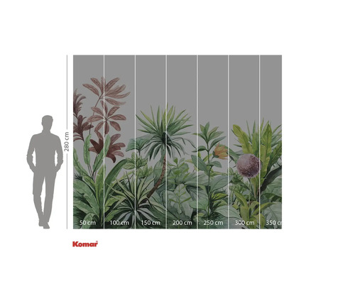 Fototapeta s motivem džungle a rozměry.