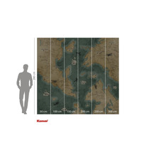 Nástěnná malba Komar s motivem mapy světa a údaji o velikosti.