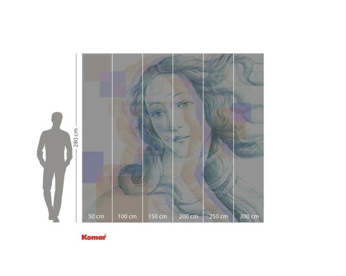 Nástěnná malba Komar Zrození Venuše, výška 280 cm, údaje o velikosti