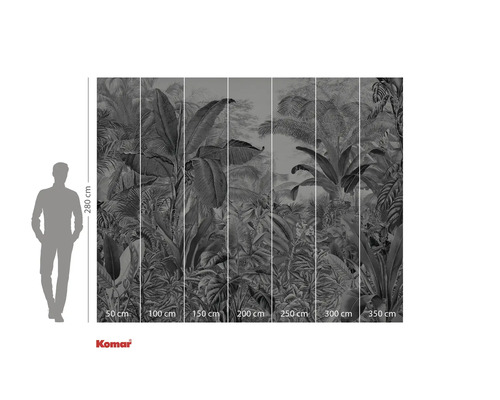 Fototapeta s motivem džungle a údaji o velikosti