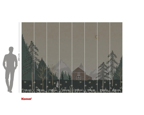 Fototapeta s motivem lesa, domu a měsíce