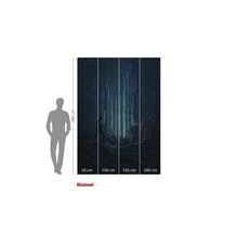 Fototapeta s motivem Star Wars, scéna v lese, výška 280 cm