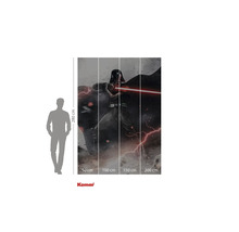 Komar Star Wars fototapeta Darth Vader, 280 x 200 cm