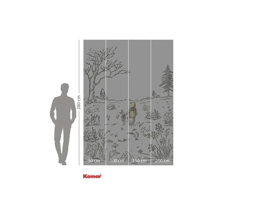 Fototapeta s designem Medvídka Pú a Prasátka a rozměry