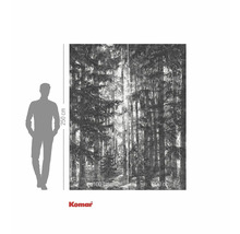 Fototapeta s motivem lesa a rozměry