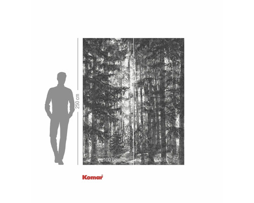 Fototapeta s motivem lesa a rozměry