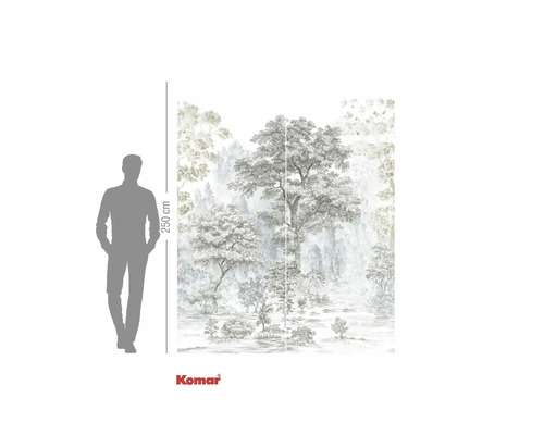 Fototapeta s motivem lesa a výškovým údajem 250 cm