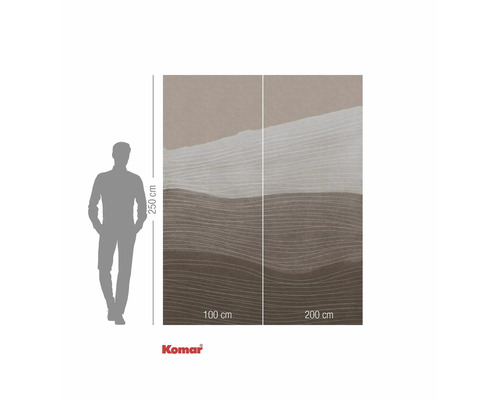 Fototapeta Komar s abstraktním vlnovým vzorem, šířka 300 cm a výška 250 cm.