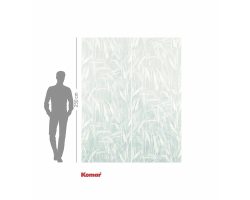 Fototapeta s bambusovým motivem, 250 krát 300 centimetrů