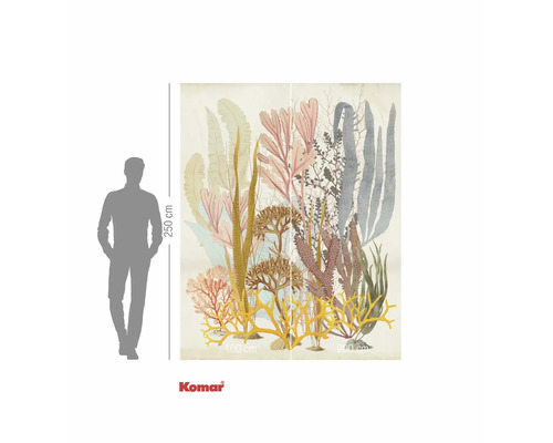 Fototapeta zobrazující korály a řasy