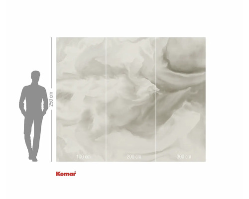 Komar fototapeta s motivem mraků, šířka 300 cm a výška 250 cm