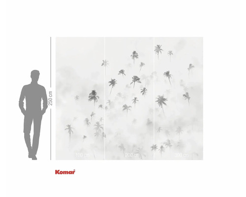 Fototapeta s motivem palem, rozměry 250 x 300 cm