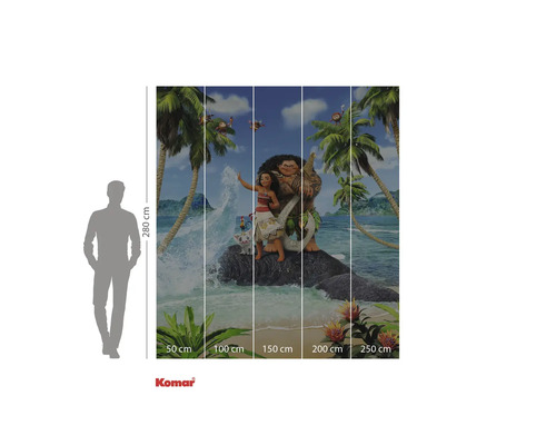 Komar fototapeta s Moanou a Maui na tropickém ostrově