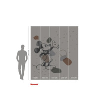 Fototapeta s motivem Mickey Mouse a rozměry