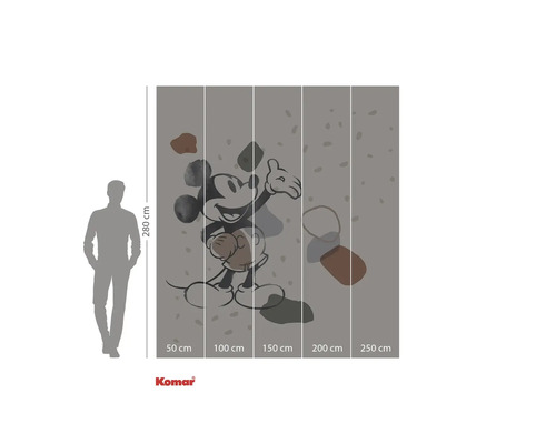 Fototapeta s motivem Mickey Mouse a rozměry