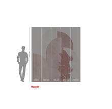 Foto tapeta s motivem Mickey Mouse a údaji o velikosti.