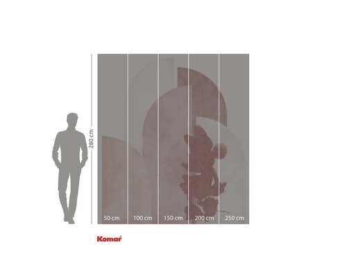 Foto tapeta s motivem Mickey Mouse a údaji o velikosti.