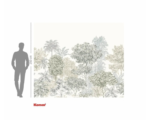 Fototapeta Komar s motivem stromu v džungli o výšce 250 cm