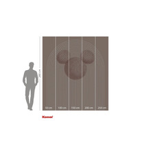 Foto tapeta s motivem Mickey Mouse a rozměry.