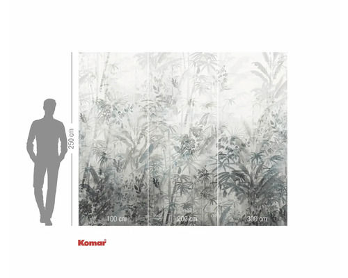 Fototapeta s motivem džungle a rozměry