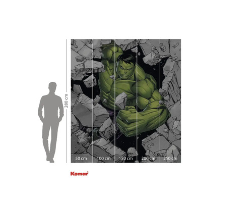 Nástěnná malba Komar Hulk o rozměrech 280 x 250 cm