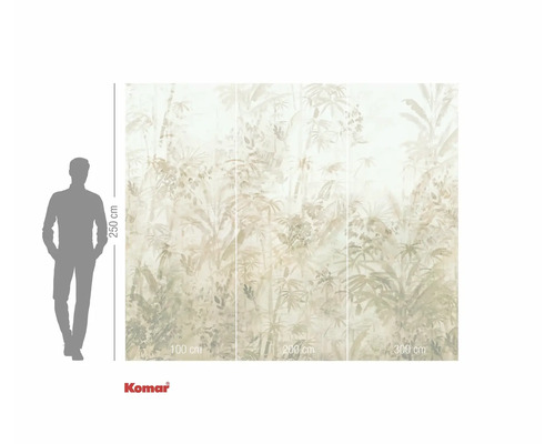 Fototapeta Komar s motivem džungle a rozměry