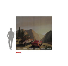 Fototapeta s motivem Cars, skládající se z několika pruhů s údaji o velikosti a siluetou pro porovnání velikosti.