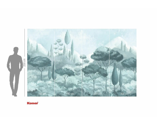 Fototapeta s lesní krajinou a údaji o velikosti