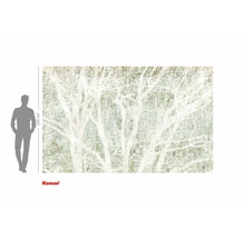 Komar fototapeta s motivem lesa a údajem o velikosti