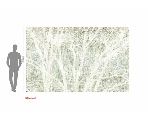 Komar fototapeta s motivem lesa a údajem o velikosti