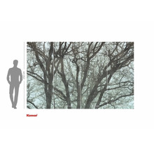 Fototapeta Komar s motivem stromu, 250 x 400 cm